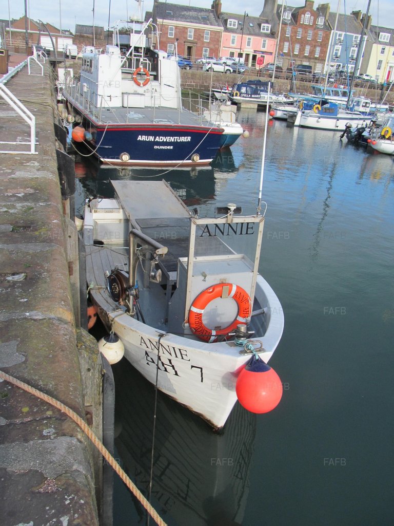 SEALISLANDER/SEAL ISLANDER