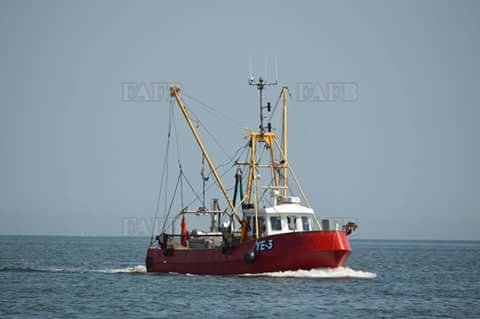 Large picture for advert 109465