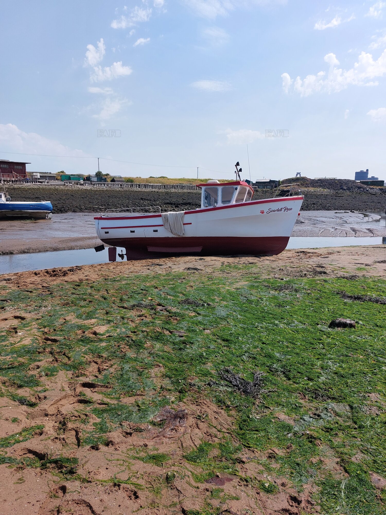 Large picture for advert 126715