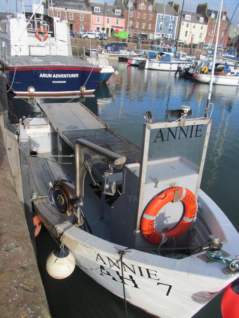 Large picture for advert 98965