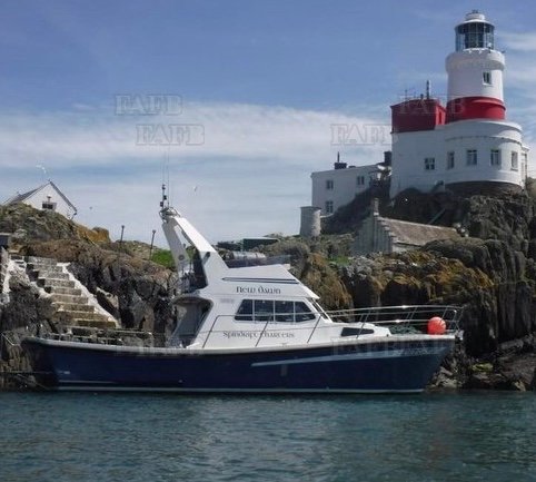 Large picture for advert 107215