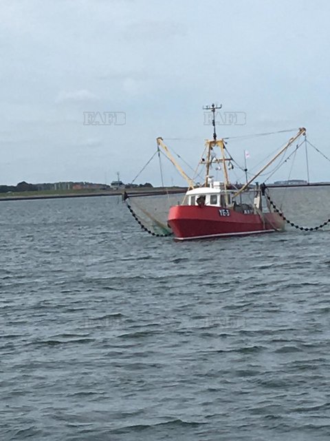 Large picture for advert 109465