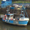 Extra picture for advert 104465