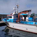 Extra picture for advert 115315